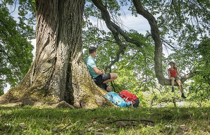 Naturschutzgebiet Buchleite bei Markt Berolzheim