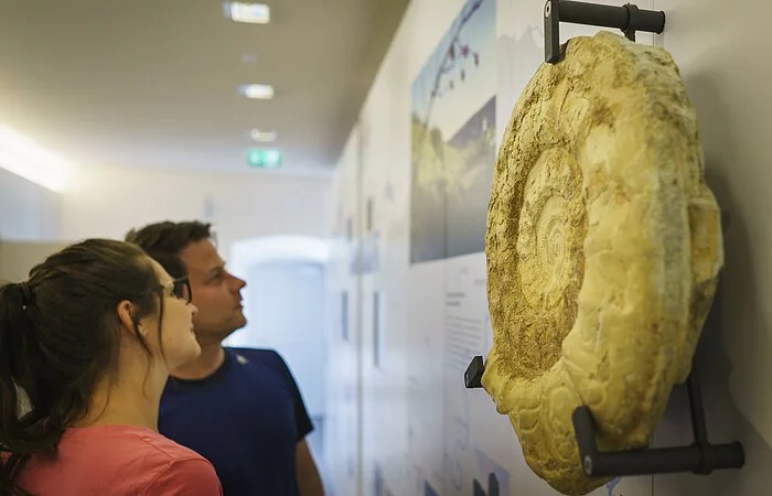 Ausstellung im Informationszentrum Naturpark Altmühltal